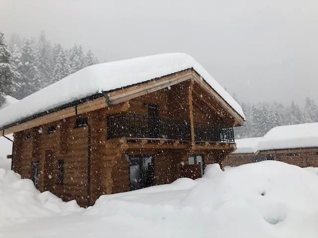 Marmotte Am Nassfeld *